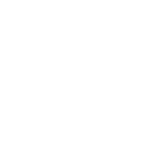 github-mark-white